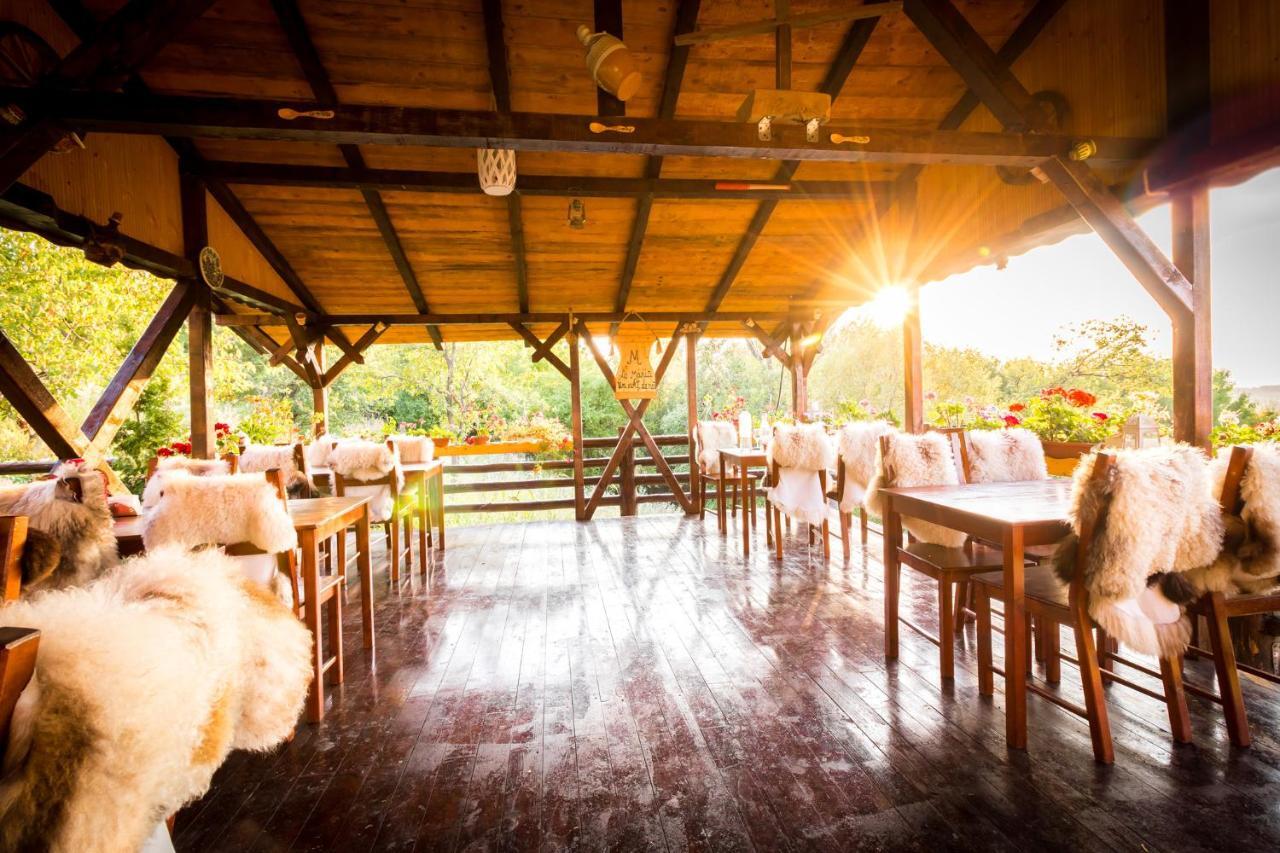 Hotel Pensiunea La Maria Poenari Esterno foto
